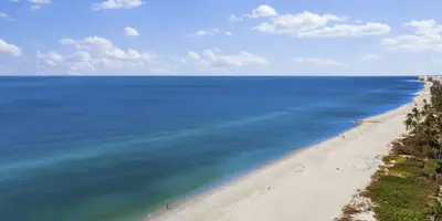 Naples Miracle Mile: The New Luxury Condos on Gulf Shore Blvd N