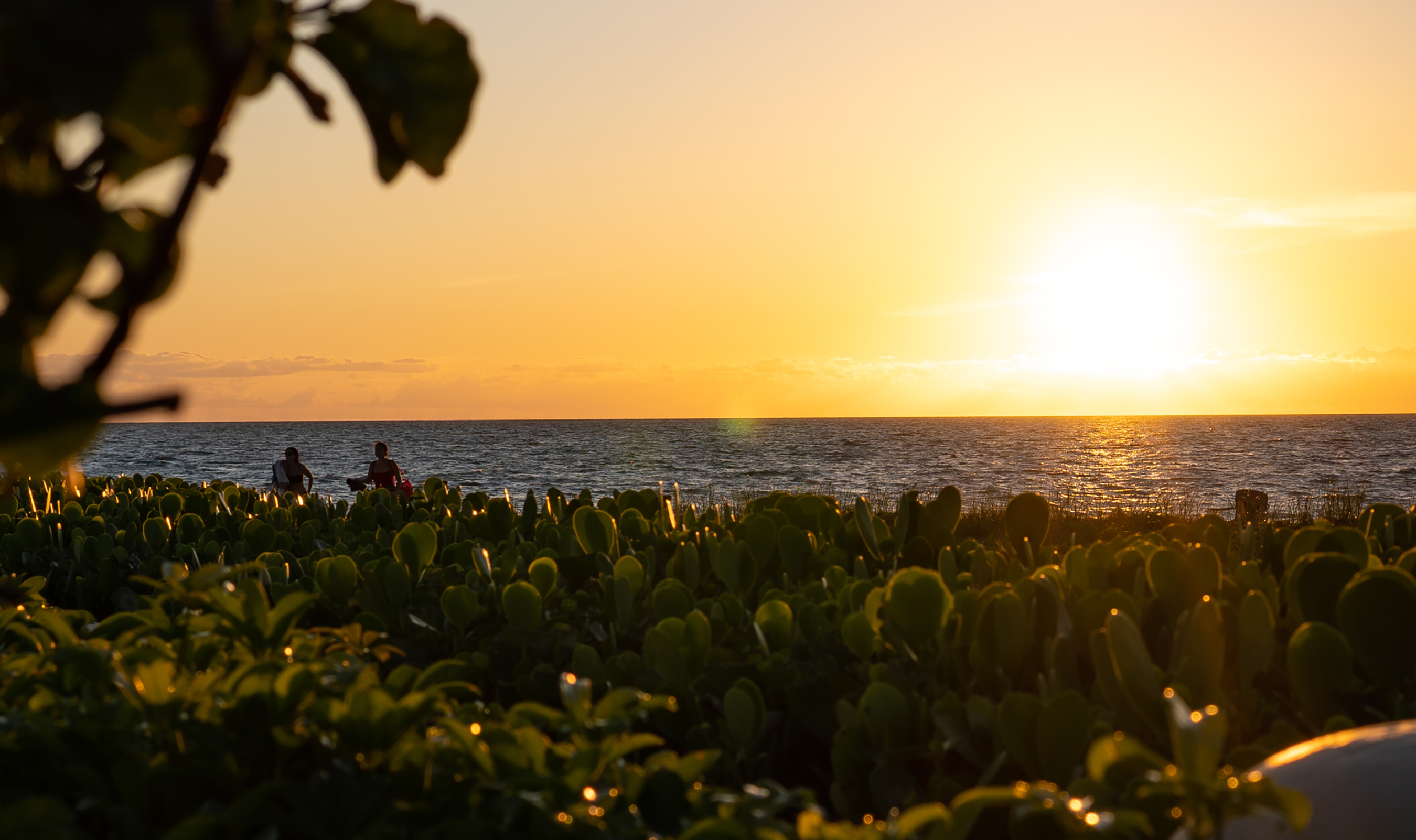 Olde Naples beach at sunset overlooking the Gulf of Mexico, Naples, Florida