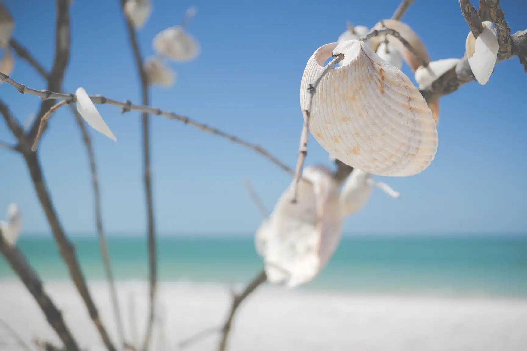 The Gulf of Mexico from the beach at Vanderbilt Beach, Naples, Florida